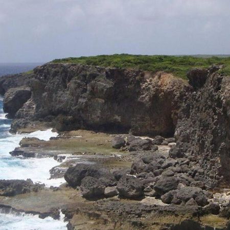 Villa Sous Le Manguier-Anse Bertrand 5Min Plage Kültér fotó