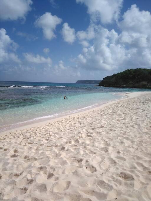 Villa Sous Le Manguier-Anse Bertrand 5Min Plage Kültér fotó