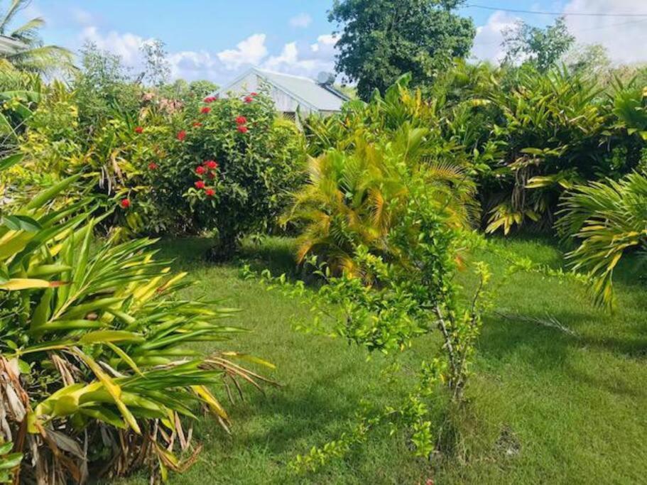 Villa Sous Le Manguier-Anse Bertrand 5Min Plage Kültér fotó