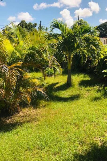 Villa Sous Le Manguier-Anse Bertrand 5Min Plage Kültér fotó