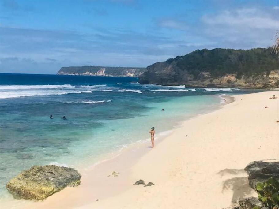 Villa Sous Le Manguier-Anse Bertrand 5Min Plage Kültér fotó